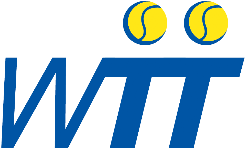 World TeamTennis 2010-2012 Primary Logo iron on transfers for clothing